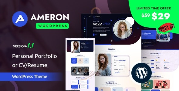 WordPress Theme