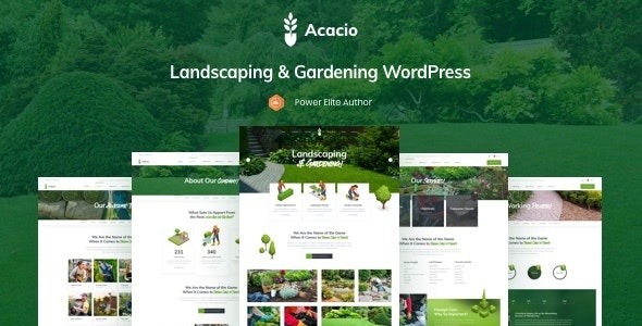 Acacio – Landscape & Gardening – 25175030