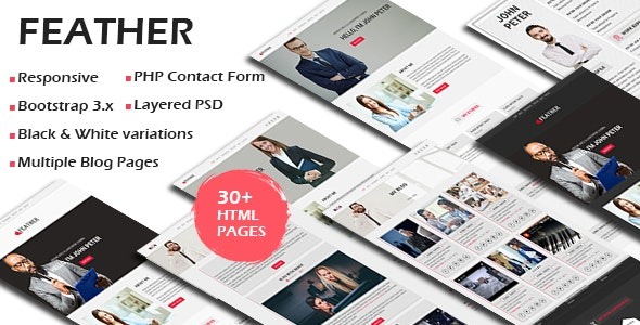 FEATHER – Multipurpose Responsive Personal Portfolio, Resume One Page HTML Template – 19304901