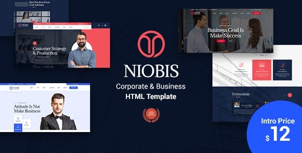 NioBis – Corporate Consulting Template – 26118263