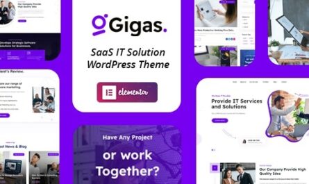 WordPress Theme
