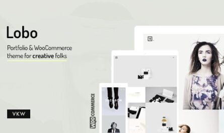 WordPress Theme