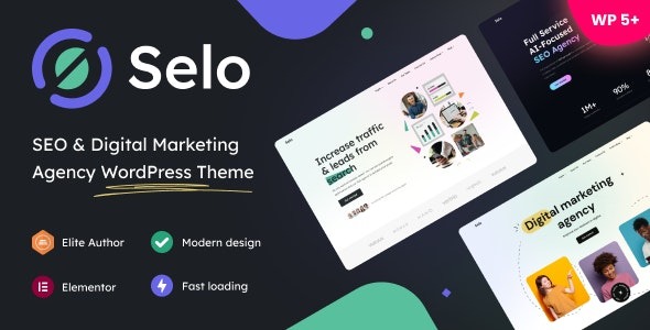 WordPress Theme