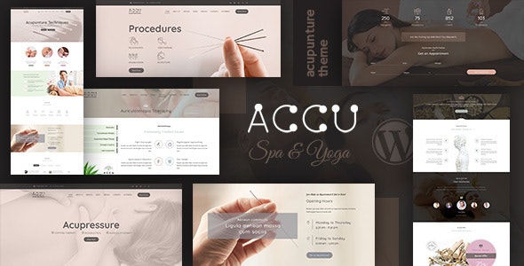 Accu - Healthcare, Massage WordPress Theme - 22463381