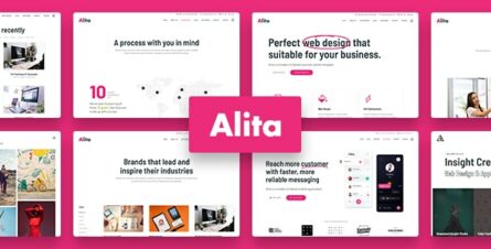 Alita - Web Studio WordPress Theme - 33452863