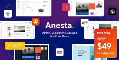 Anesta – Intranet, Extranet, Community and BuddyPress WordPress Theme – 38185608