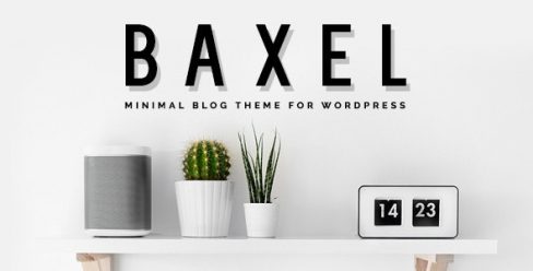 Baxel – Minimal Blog Theme for WordPress – 19822209