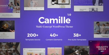 Camille - Multi-Concept WordPress Theme - 21847145