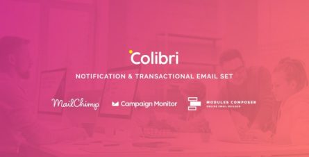 Colibri - Notification & Transactional Email Templates with Online Builder - 32809361