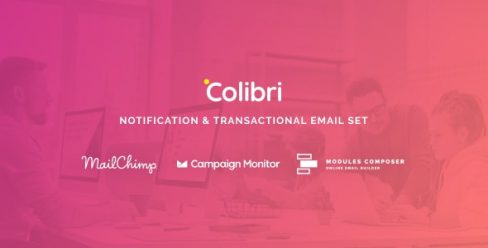Colibri – Notification & Transactional Email Templates with Online Builder – 32809361