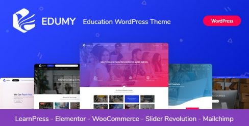 Edumy – LMS Online Education Course WordPress Theme – 24177225