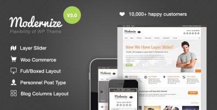 Modernize - Flexibility of WordPress - 1264247