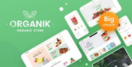 Organik - Organic Food Store WordPress Theme - 17678863
