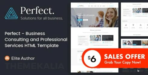 Perfect – Business Consulting and Professional Services HTML Template – 20629889