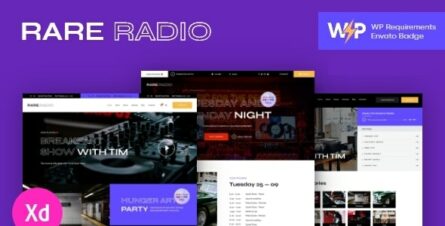Rare Radio - Online Music Radio Station & Podcast WordPress Theme - 24461451