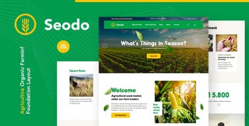 Seodo | Agriculture Farming Foundation WordPress Theme – 29186277