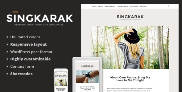 Singkarak - Responsive WordPress Blog Theme - 8968675