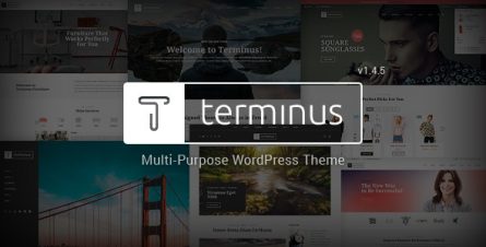 Terminus - Responsive Multi-Purpose WordPress Theme - 17853183
