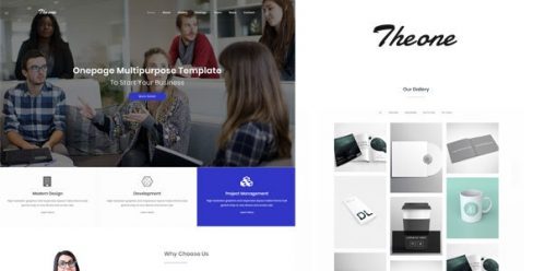 Theone – Onepage Multiporpose Template – 20847354