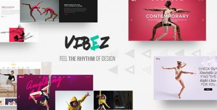 Vibez - Dynamic Theme for Dance Studios and Instructors - 19654985