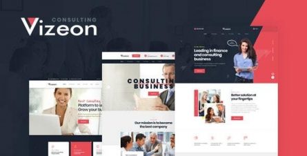 Vizeon - Business Consulting WordPress Themes - 24024088