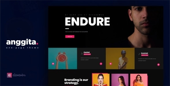 Anggita – One Page Portfolio Theme – 23991183
