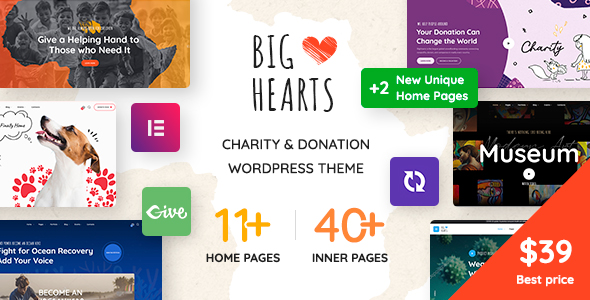 BigHearts – Charity & Donation WordPress Theme – 28941982