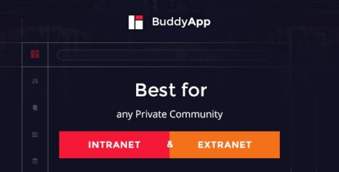 BuddyApp – Mobile First Community WordPress theme – 12494864