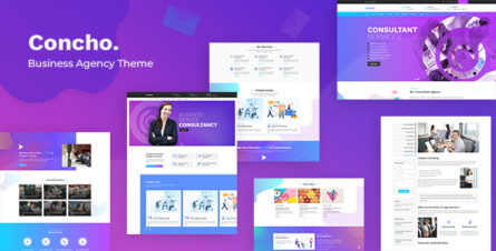 concho-business-agency-wp-theme-23272192