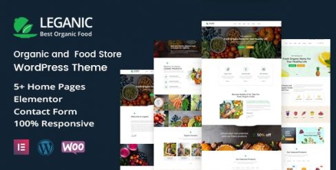 Leganic – Organic and Food Store WordPress Theme – 27528440