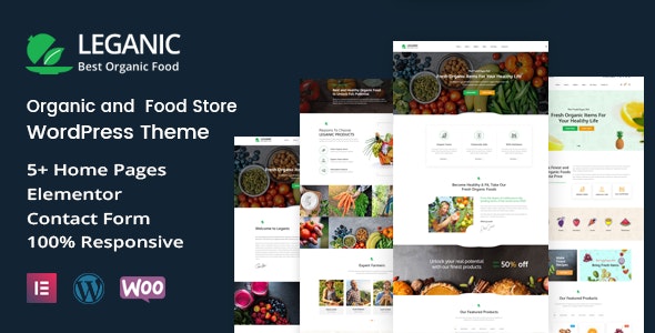 Leganic – Organic and Food Store WordPress Theme – 27528440