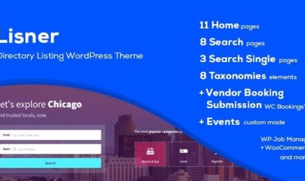 WordPress Theme