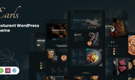 WordPress Theme