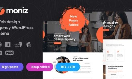 WordPress Theme