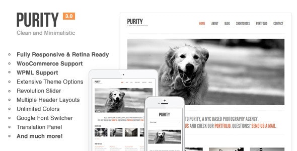 purity-responsive-clean-minimal-bold-wp-theme-639774