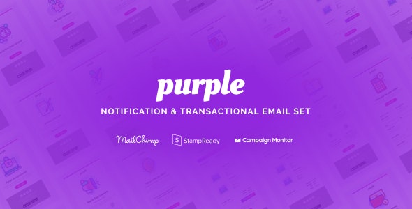 purple-notification-transactional-email-templates-25564337