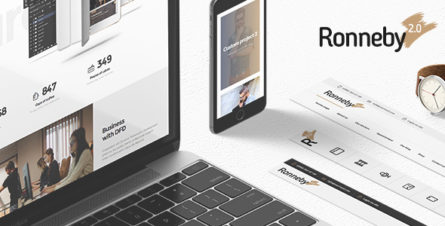 ronneby-highperformance-wordpress-theme-11776839
