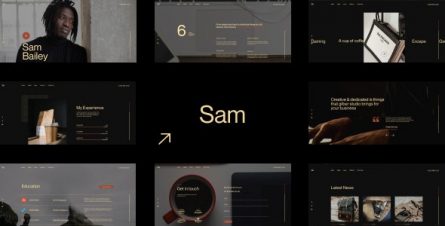 sam-bailey-personal-cvresume-wordpress-theme-31873028