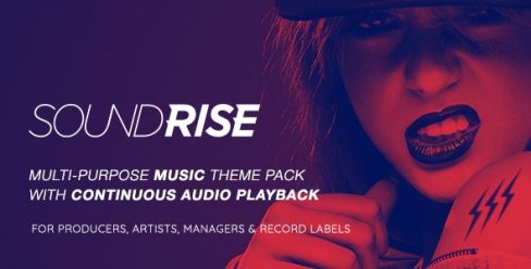 SoundRise – Artists, Producers and Record Labels WordPress Theme – 19764337