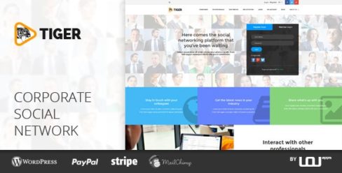 TIGER – Social Network Theme for Companies & Professionals – 16203995