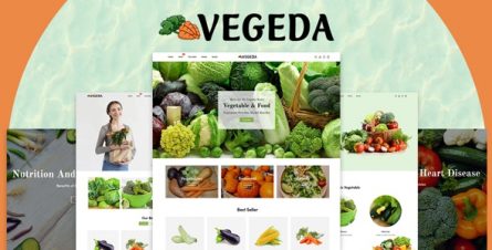 vegeda-vegetables-and-organic-food-ecommerce-shopify-theme-27469486