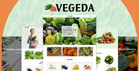 Vegeda – Vegetables And Organic Food eCommerce Shopify Theme – 27469486